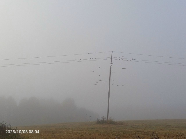 Ну как же не любить Россию?
Я тут родился, вырос и живу! ...