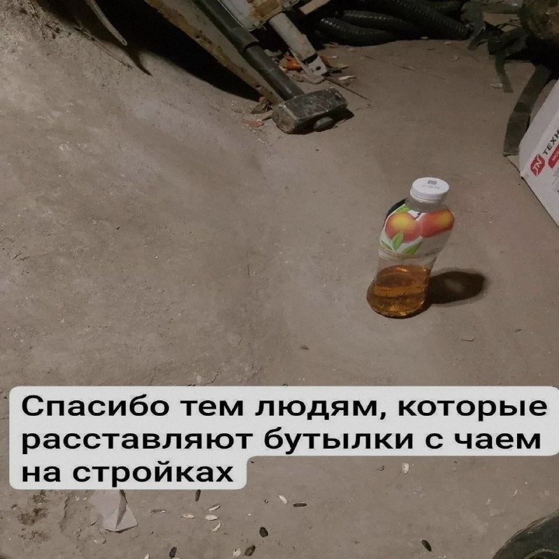 Ночная подборочка
Спать, режим