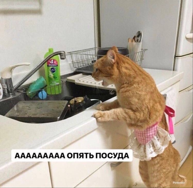 🤫 Штраф за уборку квартиры в вечернее время можно пол?...
