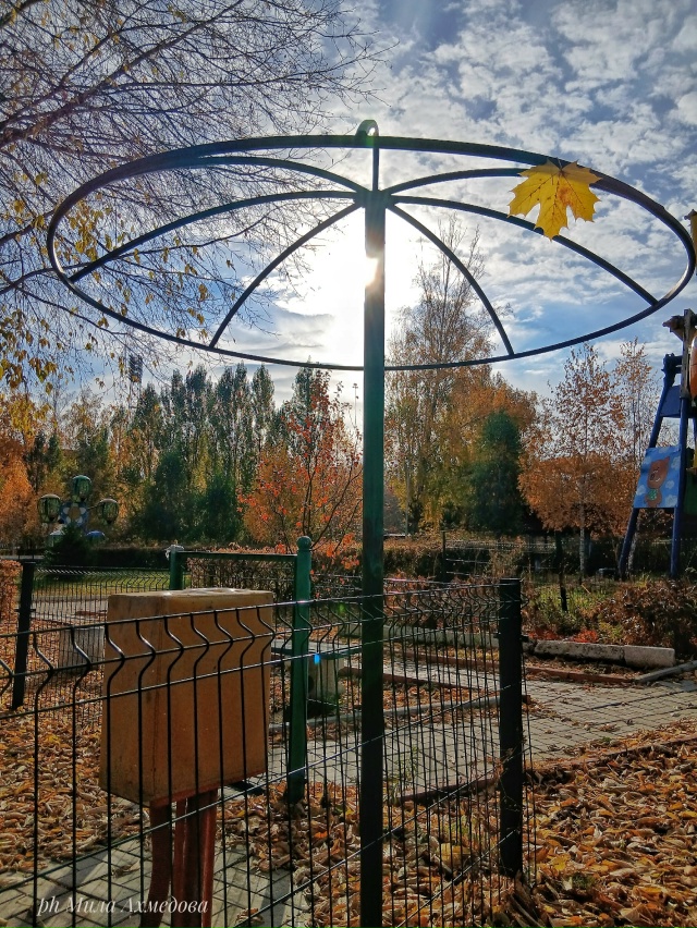 Городской парк.🍁🎡🎠
Октябрь.
