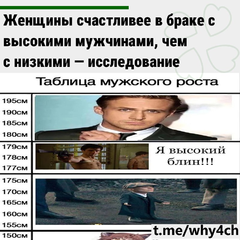 Анализ данных более 7 тысяч пар показал: чем выше мужчина по сравнению с женой, тем больше удовлетво