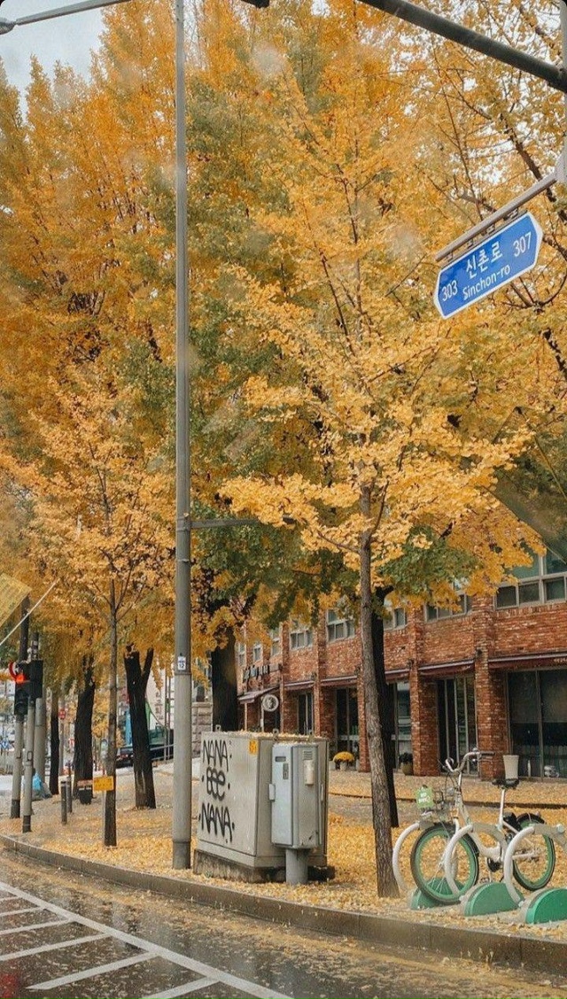 Корейские обои 🍂