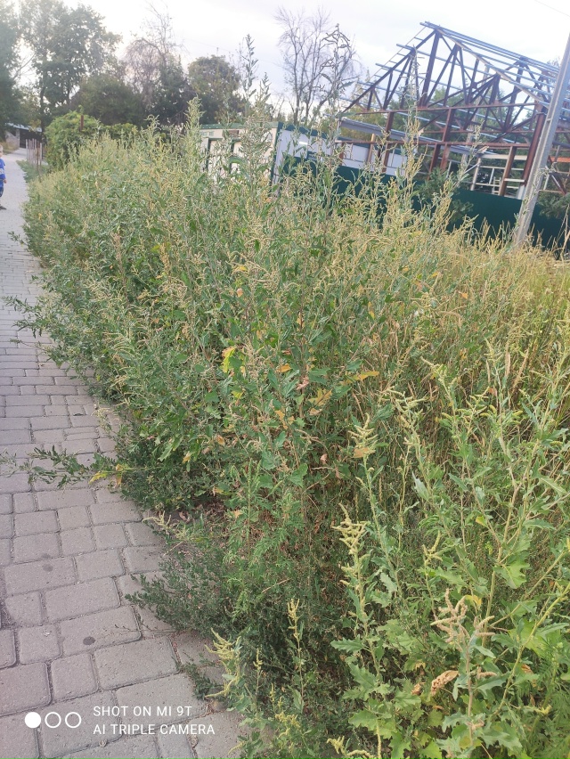 Прогулялись сегодня вечером на 