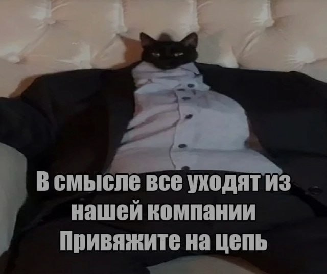 Ночная подборочка
Выходные, не спим