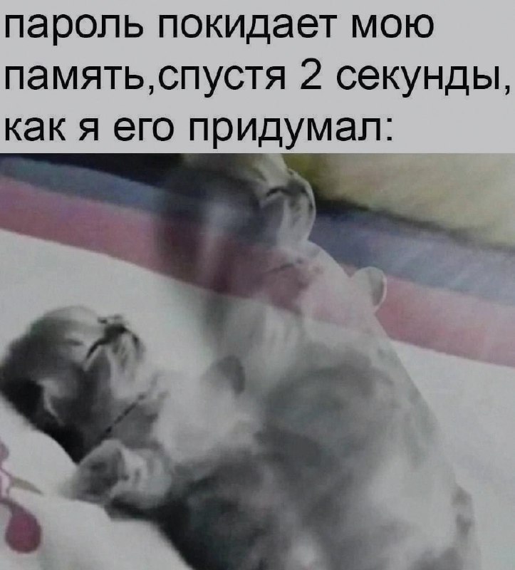 Ночная подборочка
Выходные, не спим