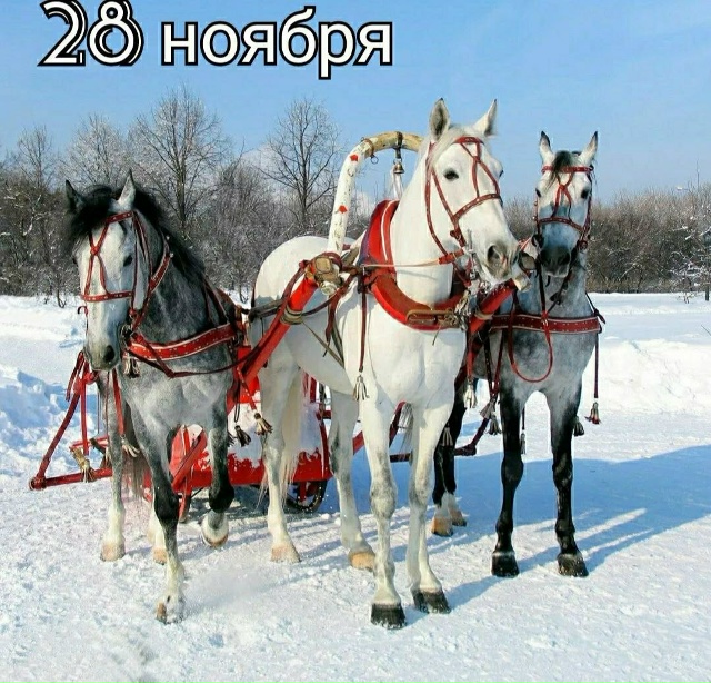Праздники 28 ноября 🎈
🎁 Всемирный день сострадания
??...