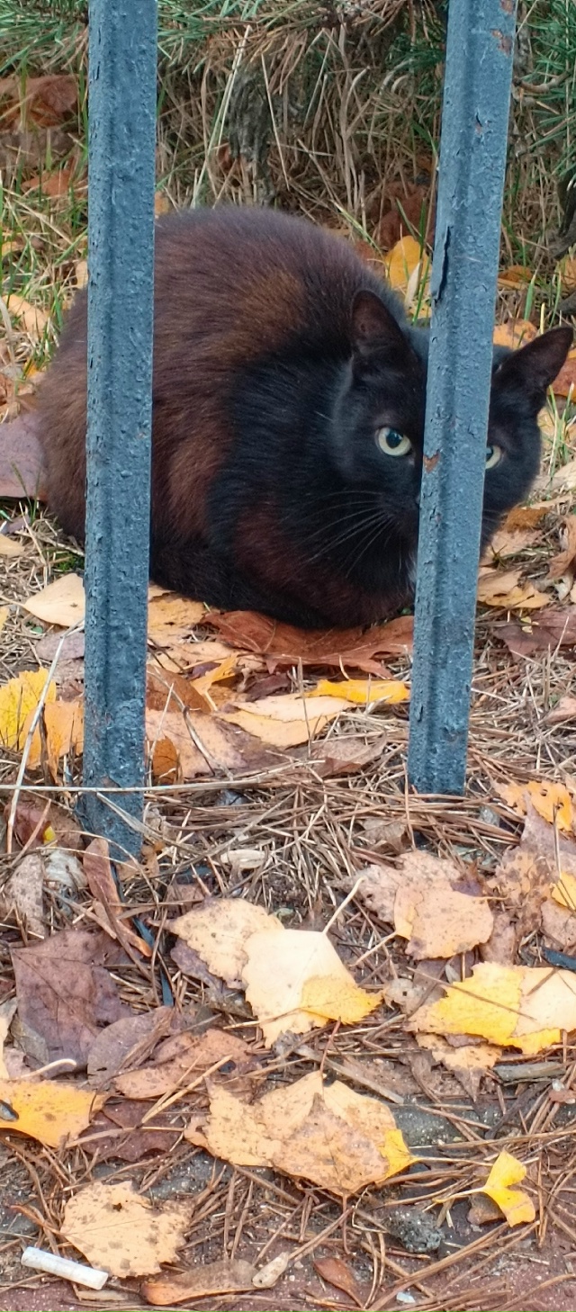 Добрый утро!