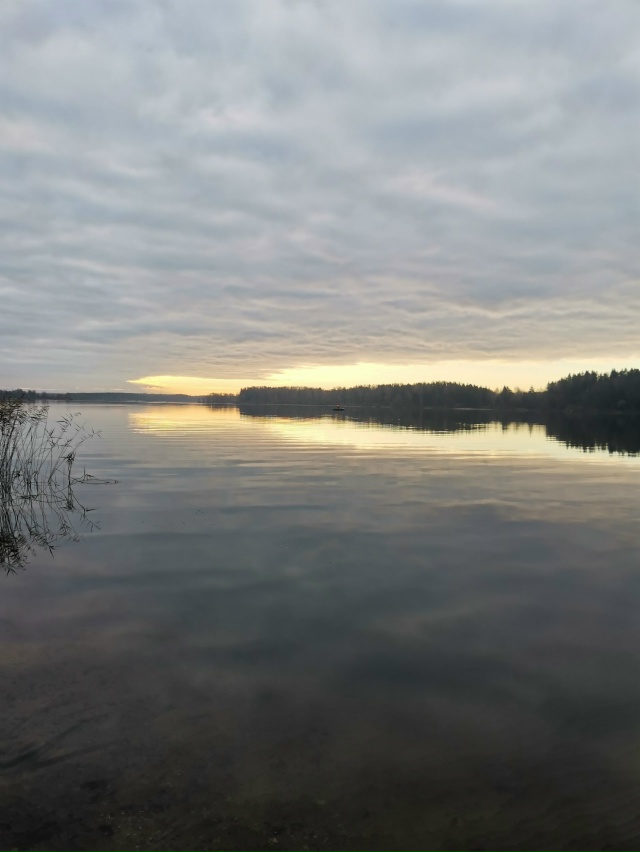 Тихое безмятежное можайское водохранилище😌