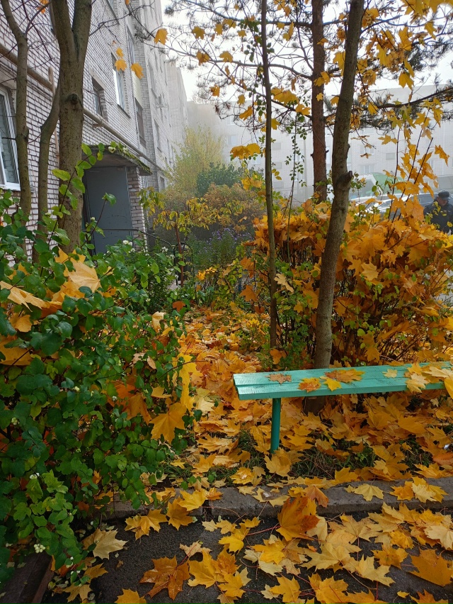Осенний дворик! Грустно, что лето ушло...