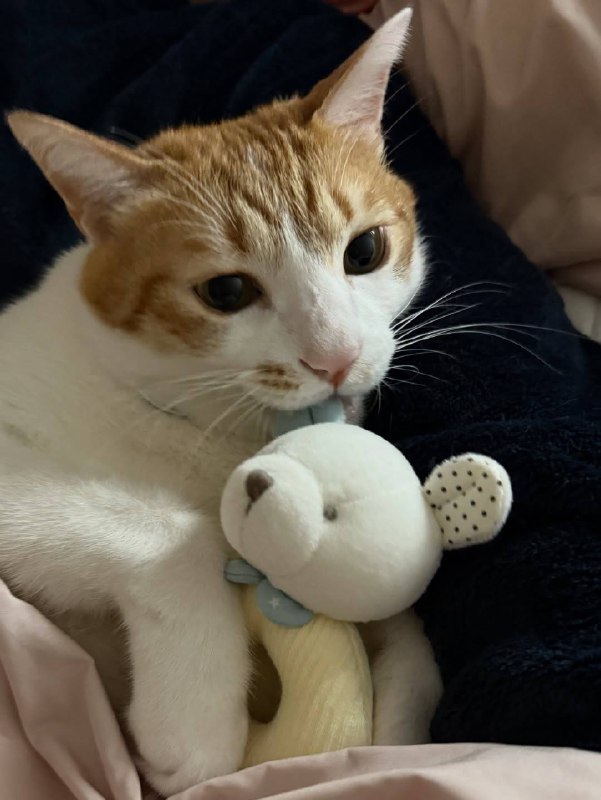 Наконец-то споть :3