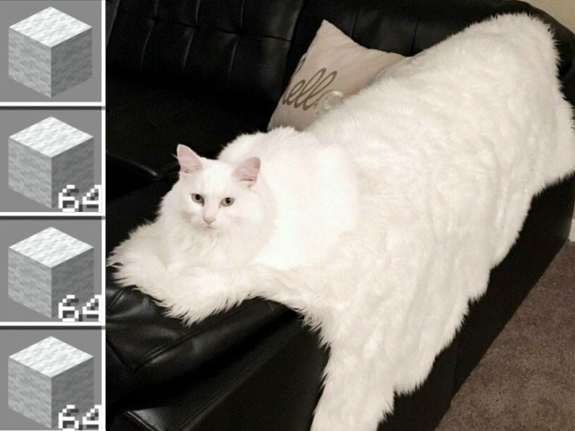 Получаем 💰 3 KLcoin на баланс сайта за простейшие условия...