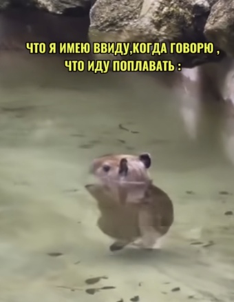 Маленькая, да удаленькая