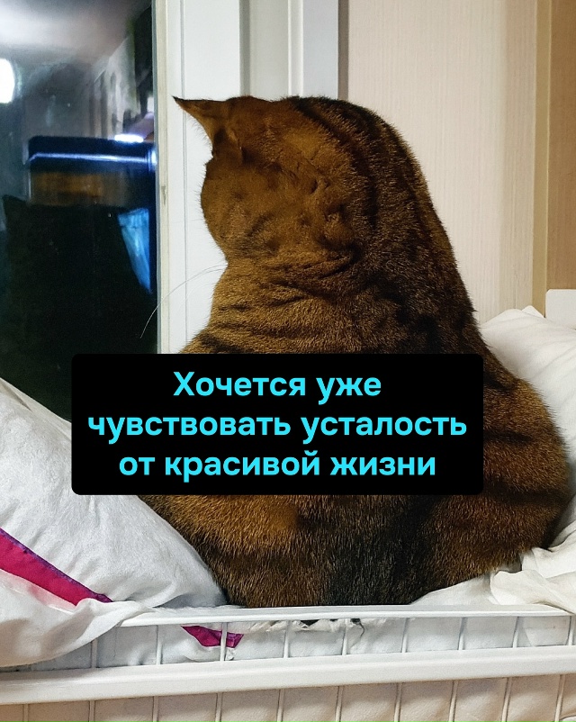 Красивой жизни нет, зато усталость как родная — никуда...