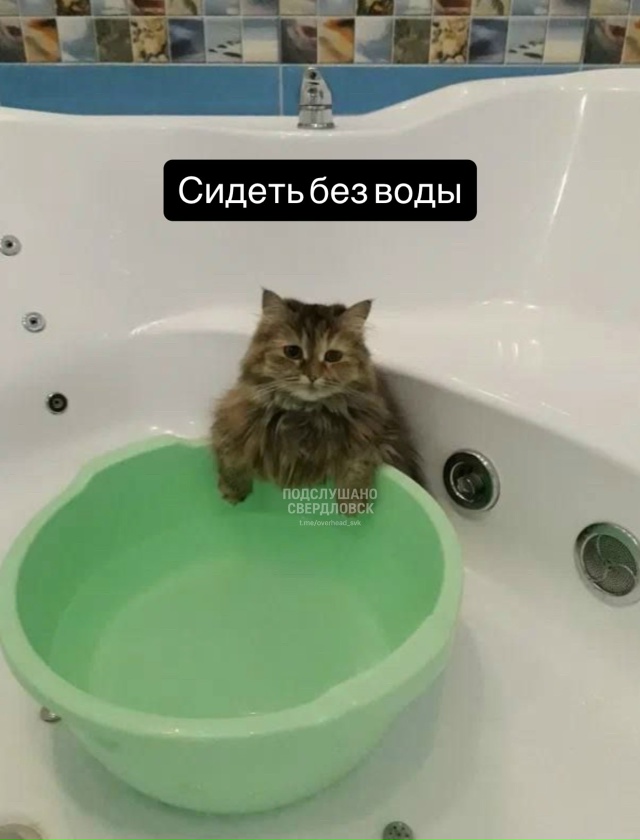 Вся жизнь Свердловчан в мемах 🙂