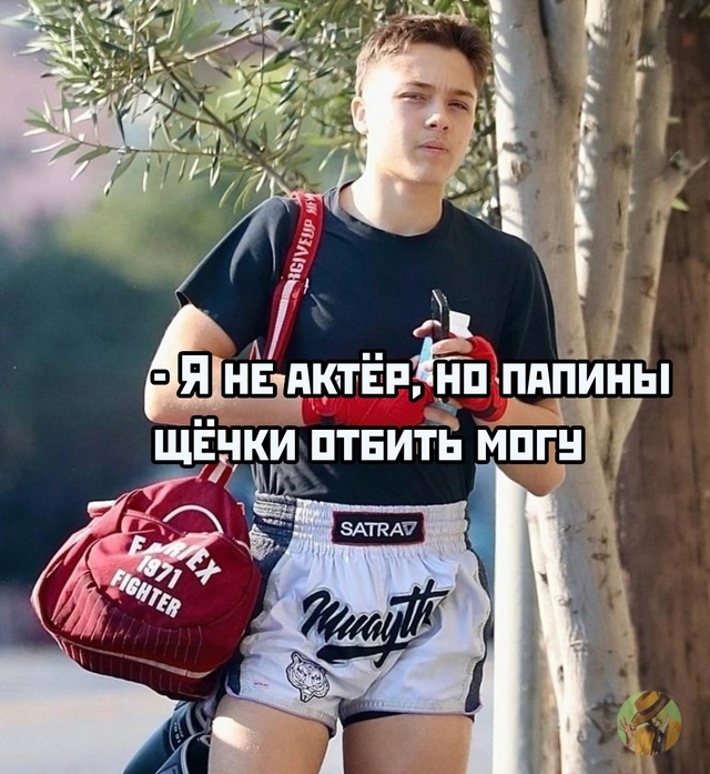 Нокс Питт: сын звёзд — уже звезда сам
В Сети активно об...