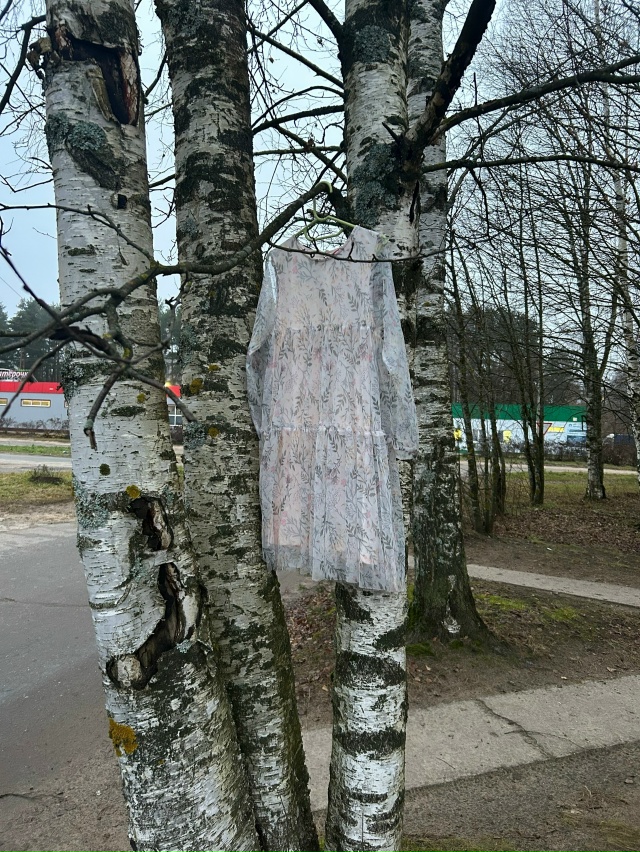 Фото 1. Чей колпак? Нашел по дороге в сторону д. Смердяч. ...