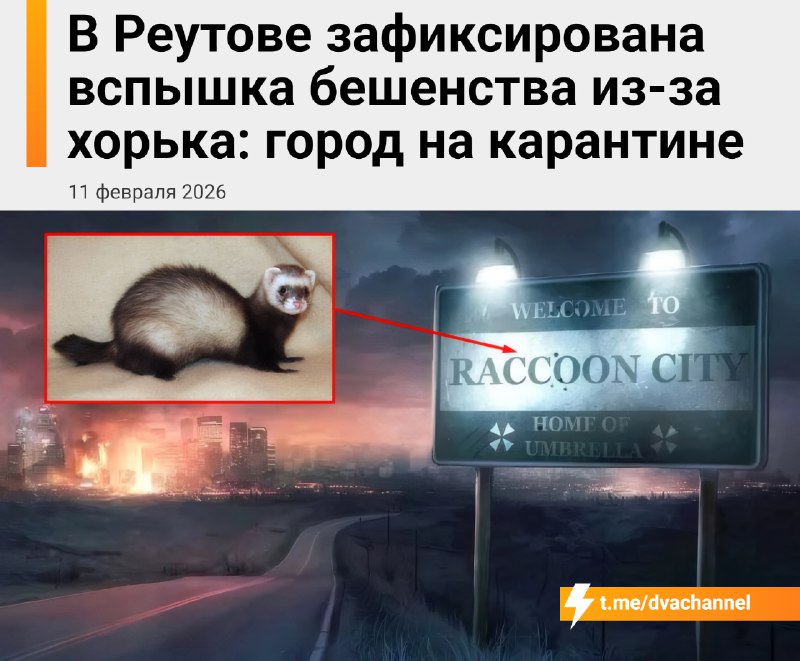 Анекдот дня: в Реутове две тянки притащили домой хорька из леса — в итоге город закрыли на карантин.