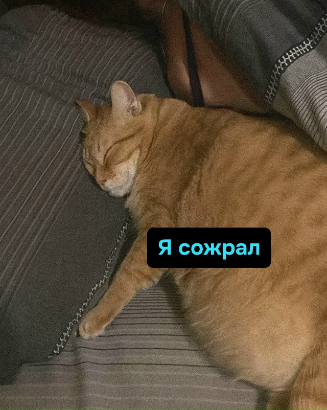 Утренний будильник был устранён. Миссия выполнена. Спи...