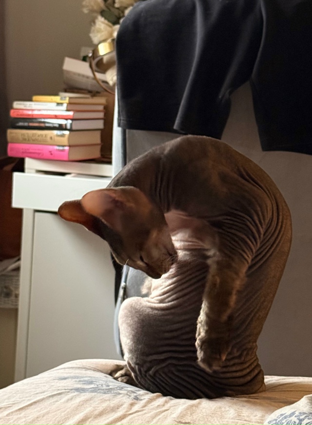 Немного любимых всратышей🫶🏻