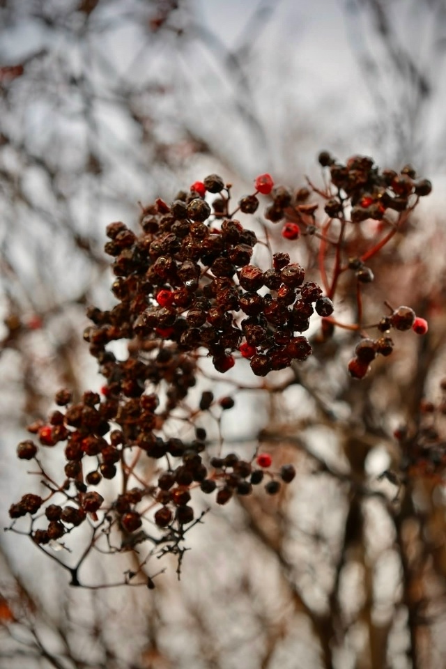 Красивое начало ноября.
Фото: [id1430345|Елена Серикова]