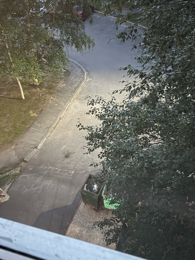 Мира 9 3 подъезд воняет мусорный бак открыть окно невоз...