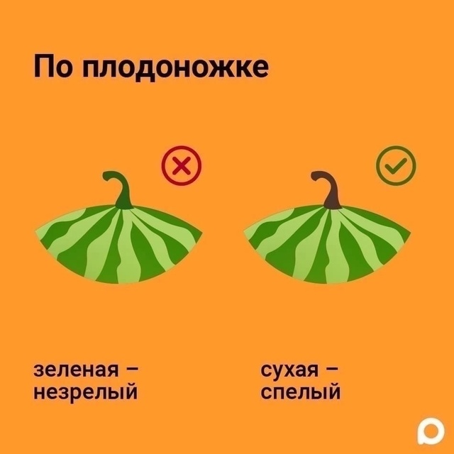 Как правильно выбрать арбуз.😎