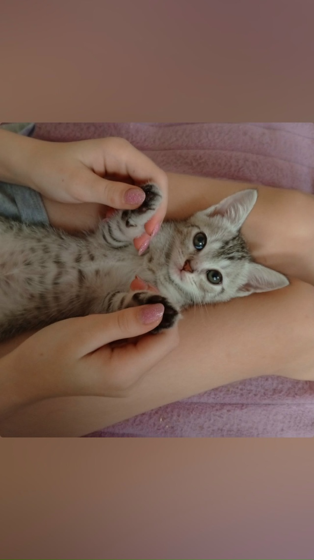 [id152857162|Светлана Сусанина]