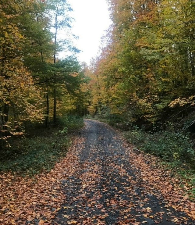 ️Доброе утро! Прогноз погоды на 13 ноября
В Оренбурге с...