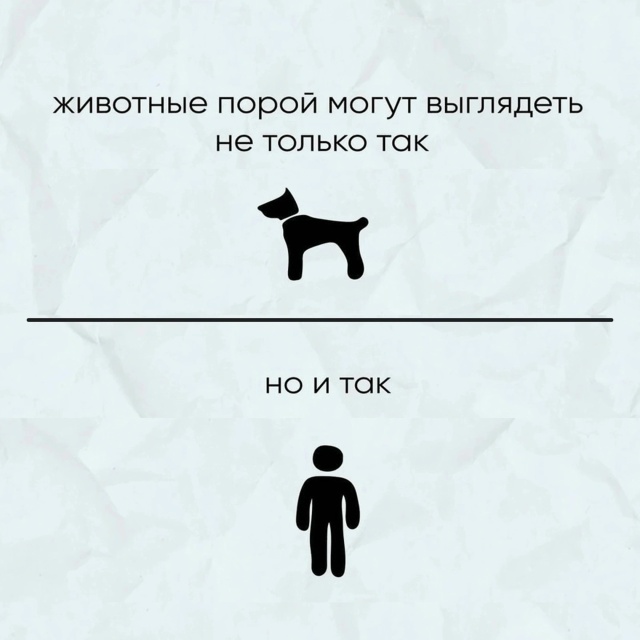 В жизни бывает всякое