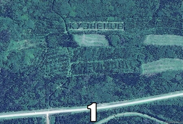 В Пермском крае есть три зaметные «надписи из деревьев?...