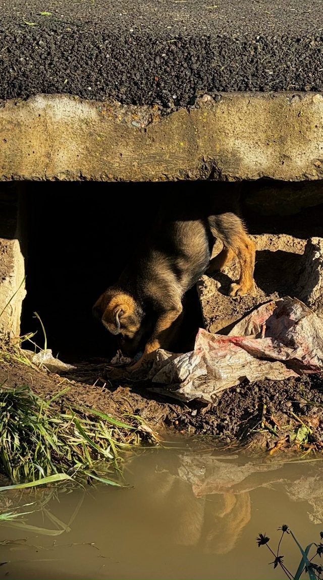 Добрый день
На пересечении улиц
Исполкомовская-Керче...