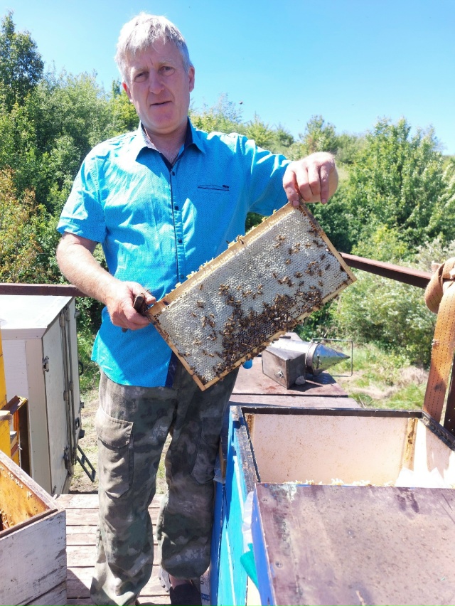 Всем здраствуйте дорогие жители города Питкяранта! 🐝 ...