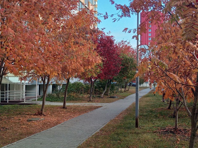 Осенний Спутник