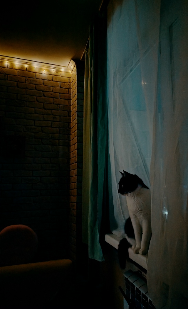 Настроение: сидеть на окне и мечтать 🤍