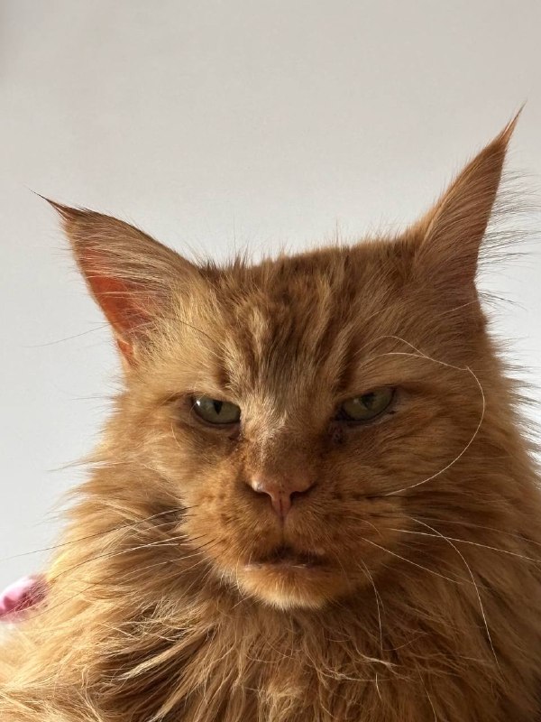 Добрый денб друзбя