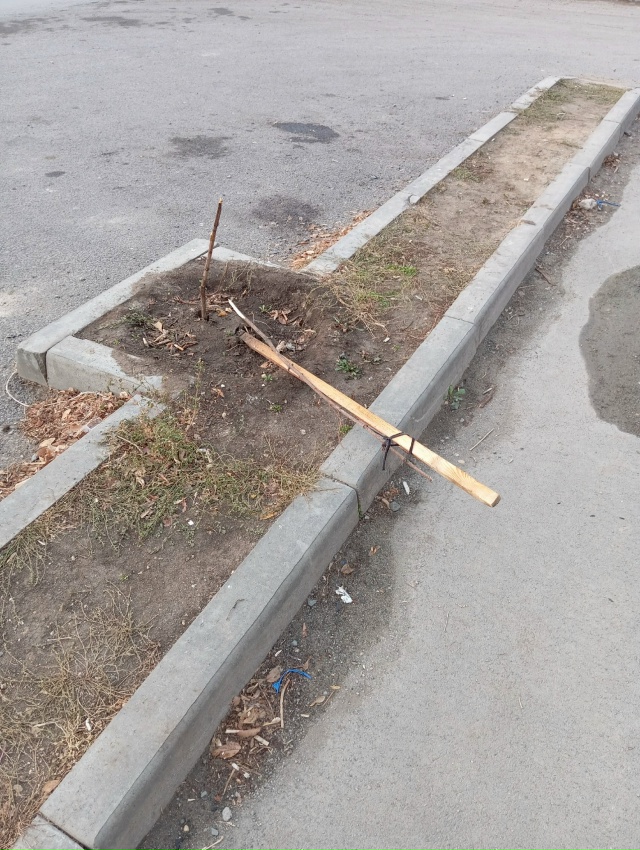 Вот, скажите, что в головах у этих недочеловеков, котор?...