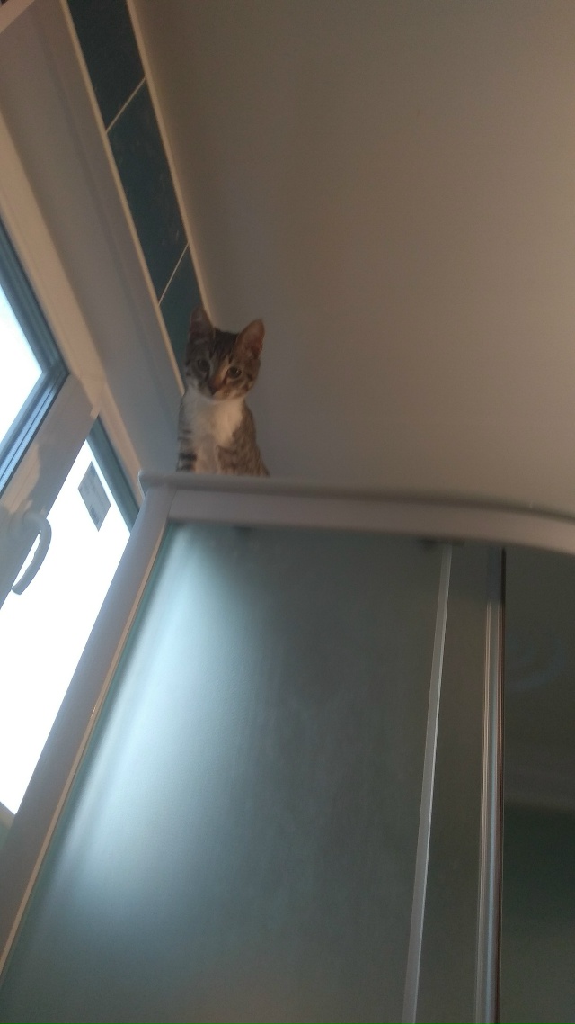 5-6~ месяцев и года 2
Привычки не меняются