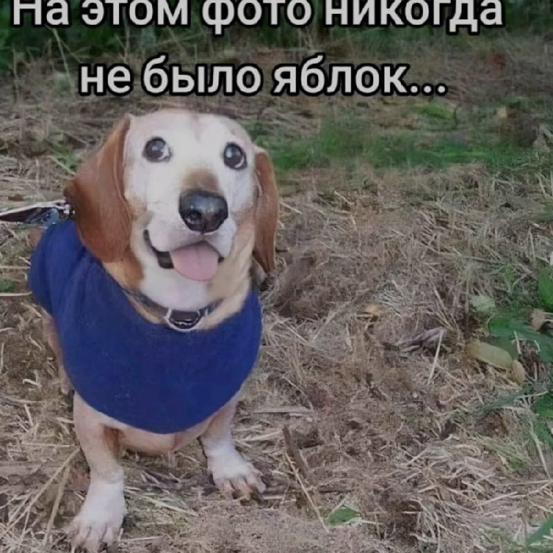 Ночная подборочка
Спать, режим