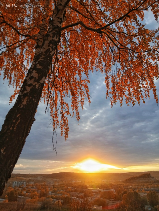 Наш город - это не просто дом. ??
Это место, где мы жив?...
