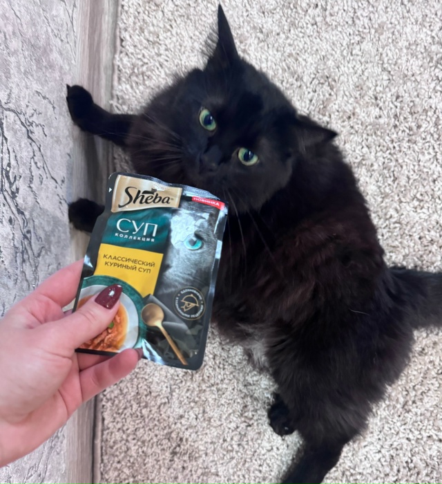 Пушистая Чёкупила в деле ??‍⬛