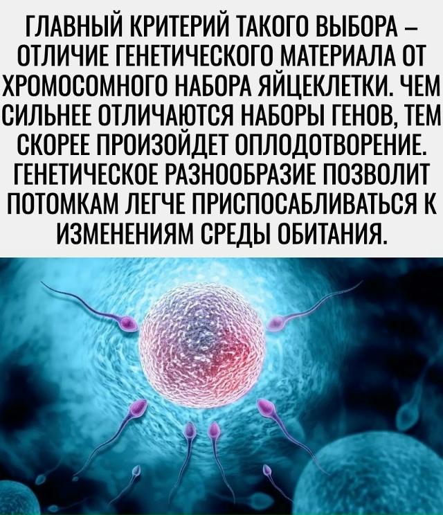 Рекомендации на день 👉 max.ru/pavelshapranov