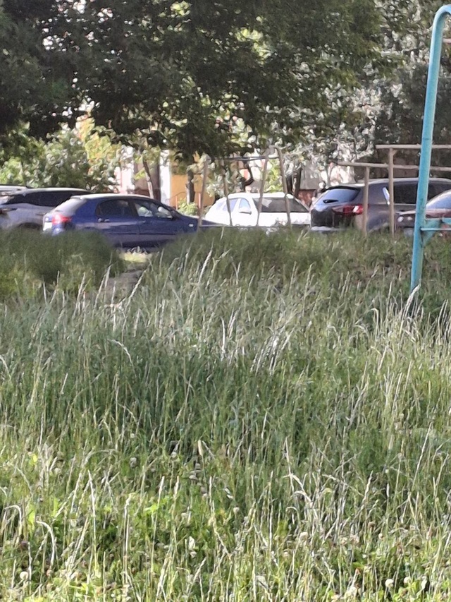 Когда уже скосят траву
На улице Грибоедова и Маяковск?...