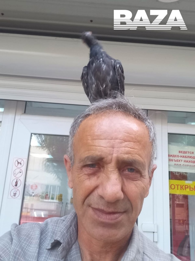 💔 😭Во время атаки дронов в Воронеже погиб мужчина, пы...