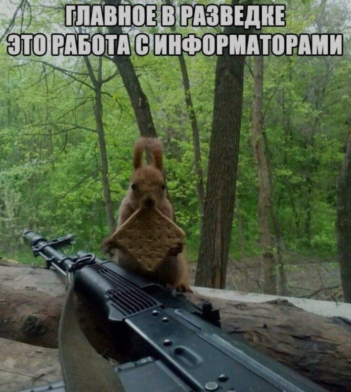 Ночная подборочка
Выходные, не спим