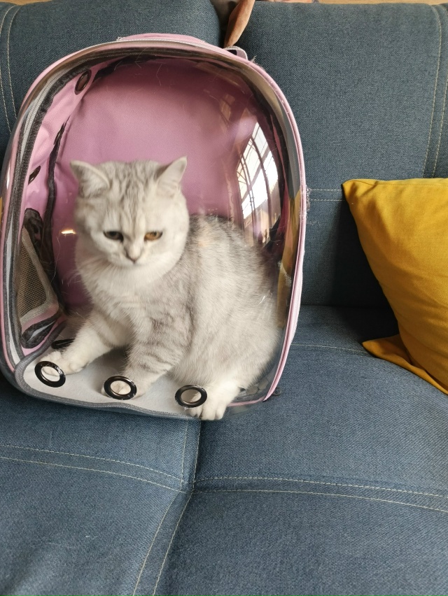 Джесси 7 месяцев.