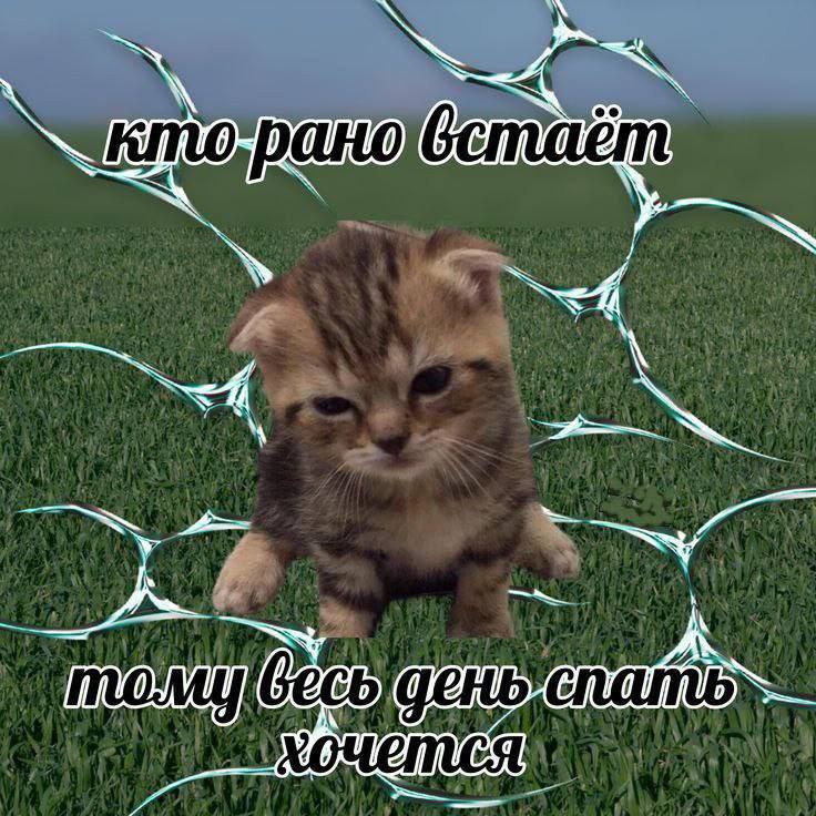 Утренняя подборочка