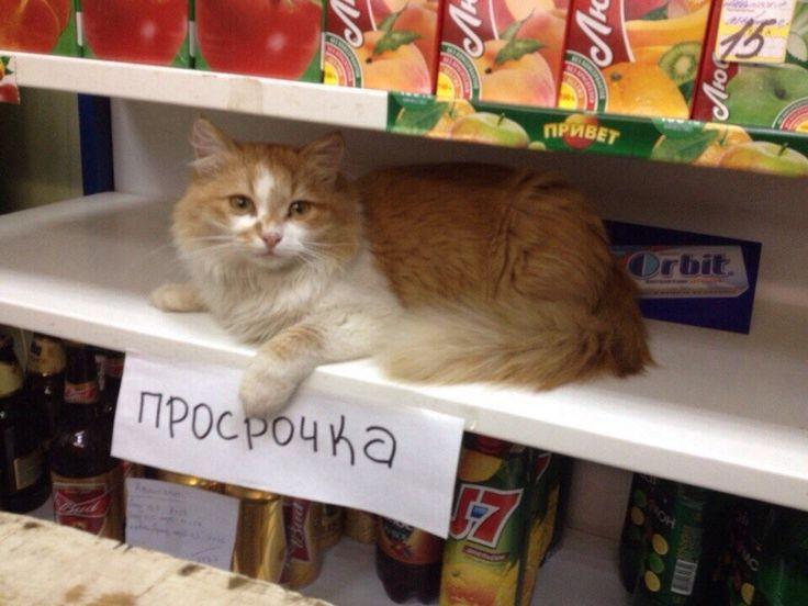 Россияне всё чаще скупают просрочку в специальных магазинах.
Причина — огромные скидки и тренд на