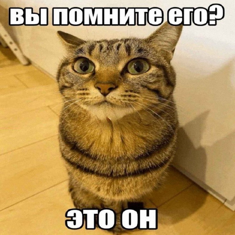 Утренняя подборочка