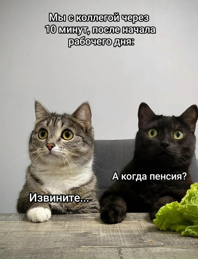 Типичный день на работе