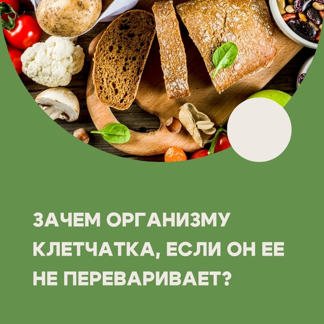 #Питание Клетчатка – это вид углеводов, который выводи...